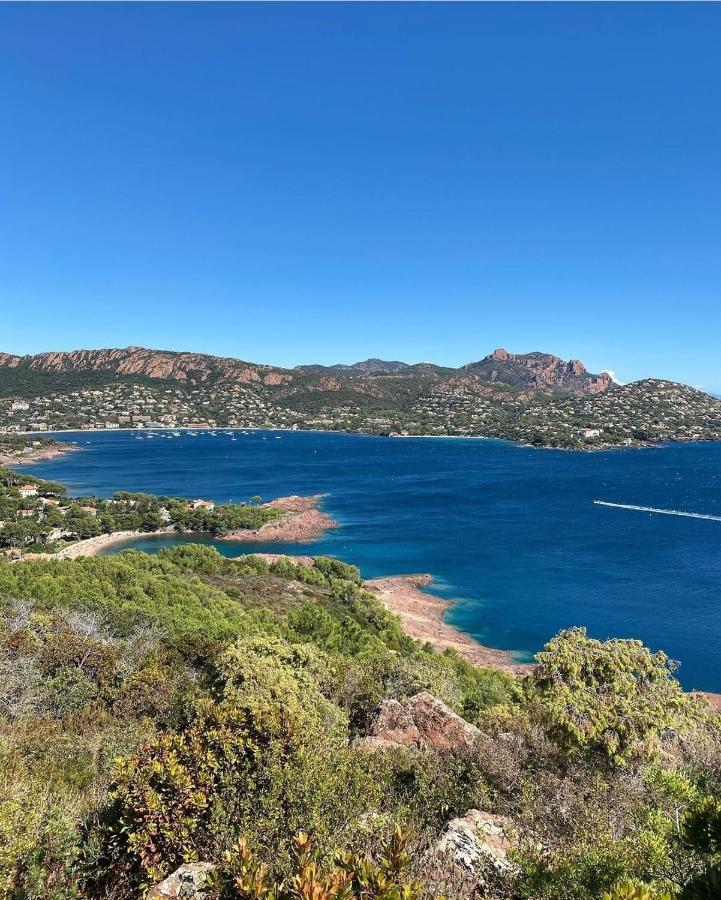 Cannes - Appartement Cosy Et Lumineux Zewnętrze zdjęcie